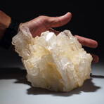 Genuine Faden Quartz Crystal Cluster