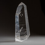 Genuine Natural Lemurian Crystal