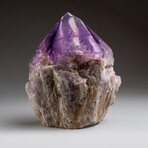 Genuine Polished Amethyst Point