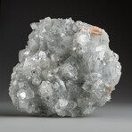 Genuine Apophyllite Crystal Cluster