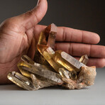 Genuine Citrine Crystals on Matrix