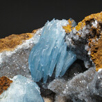 Genuine Blue Barite Crystal Cluster