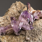 Genuine Veracruz Amethyst Crystals on Matrix