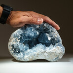 Genuine Blue Celestite Geode