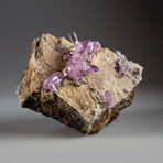 Genuine Veracruz Amethyst Crystals on Matrix