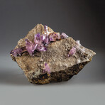 Genuine Veracruz Amethyst Crystals on Matrix