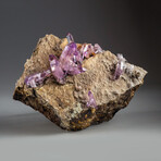 Genuine Veracruz Amethyst Crystals on Matrix