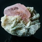 Genuine Morganite on Albite Cluster