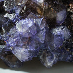 Genuine Purple Fluorite Crystal Cluster // V1