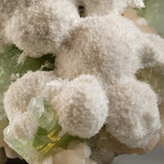 Genuine Mordenite with Apophyllite and Stilbite Crystal Cluster