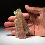 Genuine Elbaite Tourmaline