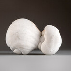 Genuine Sandstone Concretion Gogotte