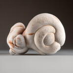 Genuine Sandstone Concretion Gogotte