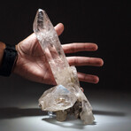 Genuine Quartz Crystal Cluster