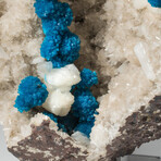 Genuine Cavansite on Quartz and Stilbite Matrix