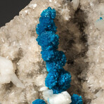 Genuine Cavansite on Quartz and Stilbite Matrix