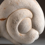 Genuine Sandstone Concretion Gogotte