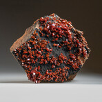 Genuine Vanadinite Crystal Cluster