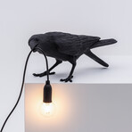 Bird Lamp // Black // Playing