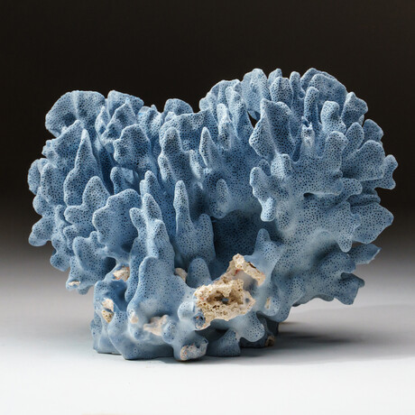 Genuine Natural Blue Ridge Coral // V1