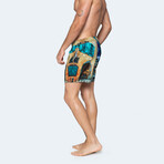 Strada Swim Shorts // Multicolor (M)