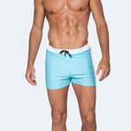 Celeste Swim Shorts // Light Blue (M)