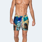 Strada Swim Shorts // Multicolor (M)