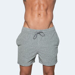Terry Shorts // Vintage Gray (L)