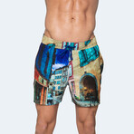 Strada Swim Shorts // Multicolor (M)