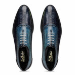 Oxford Sneakers // Croc Navy (US: 12)