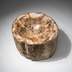 Genuine Polished Petrified Wood Bowl