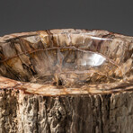 Genuine Polished Petrified Wood Bowl