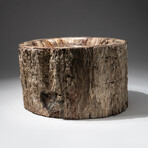Genuine Polished Petrified Wood Bowl