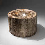 Genuine Polished Petrified Wood Bowl