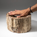 Genuine Polished Petrified Wood Bowl