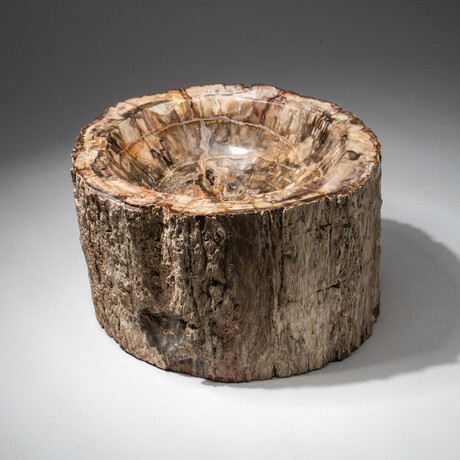 Genuine Polished Petrified Wood Bowl
