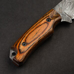 Boone Damascus Steel Skinner With Tali Wood Handle