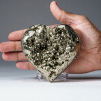 Genuine Polished Pyrite Heart + Acrylic Display Stand // V4