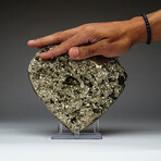Genuine Polished Pyrite Heart + Acrylic Display Stand // V7