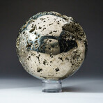 Genuine Polished Pyrite Sphere + Acrylic Display Stand // V4