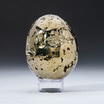 Genuine Polished Pyrite Egg + Acrylic Display Stand // V2