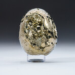 Genuine Polished Pyrite Egg + Acrylic Display Stand // V2