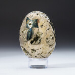 Genuine Polished Pyrite Egg + Acrylic Display Stand