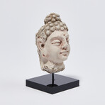 Indus Valley Head of Buddha // 4th - 5th Century AD