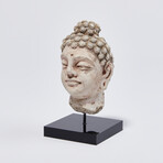 Indus Valley Head of Buddha // 4th - 5th Century AD