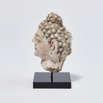Indus Valley Head of Buddha // 4th - 5th Century AD