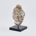 Indus Valley Head of Buddha // 4th - 5th Century AD