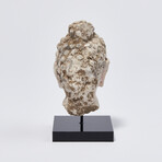 Indus Valley Head of Buddha // 4th - 5th Century AD