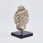 Indus Valley Head of Buddha // 4th - 5th Century AD