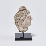 Indus Valley Head of Buddha // 4th - 5th Century AD